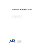 API SPEC 19PT First Edition 2022 PDF