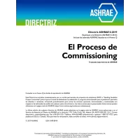 Spanish - Guideline 0-2019 -- The Commissioning Process