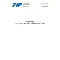 PIP STF05521