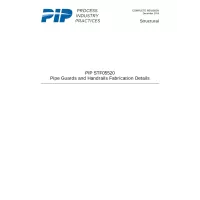 PIP STF05520