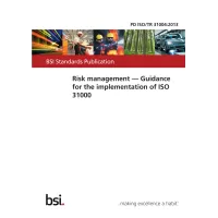 BS PD ISO/TR 31004:2013