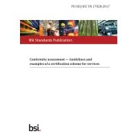 BS PD ISO/IEC TR 17028:2017