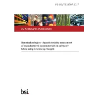 BS PD ISO/TS 20787:2017