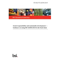 BS PD ISO/TS 26030:2019