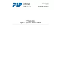 PIP PLCM0001