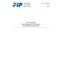 PIP CVS02100