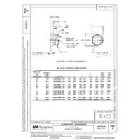 SAE AS4213A