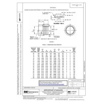 SAE AS5838