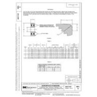 SAE AS17107A