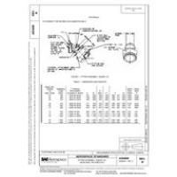 SAE AS4808B