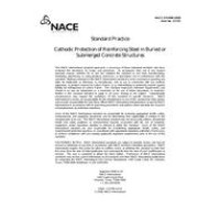 NACE SP0408-2008