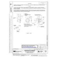 SAE AS9902D