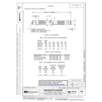 SAE AS4704C