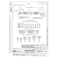 SAE AS4802C