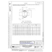 SAE AS21231A