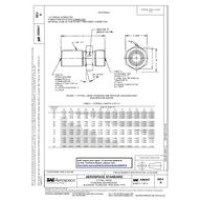 SAE AS6047A