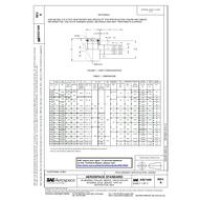 SAE AS21440A