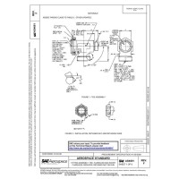 SAE AS4691F