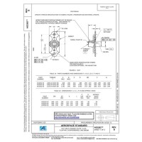 SAE AS3262B