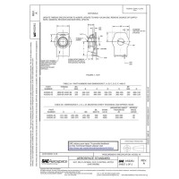 SAE AS3261A