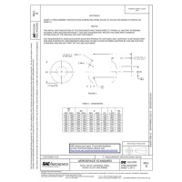 SAE AS123301B