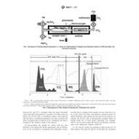 ASTM D6877-13e1