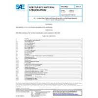 SAE AMS2980/1B