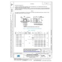 SAE AS34021D