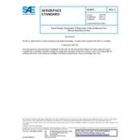 SAE AS4873A