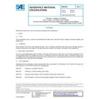 SAE AMS6491E