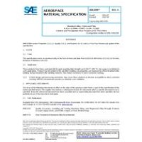 SAE AMS4599A