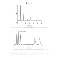 ASTM D6919-17