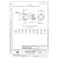 SAE AS4665C