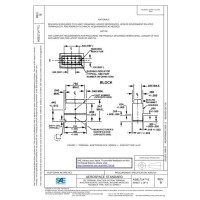 SAE AS81714/1B