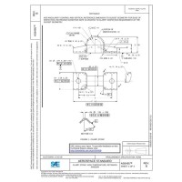 SAE AS6495B