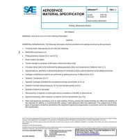 SAE AMS2404J