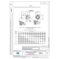 SAE AS6047C