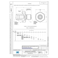 SAE AS6141A