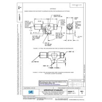 SAE AS6041A