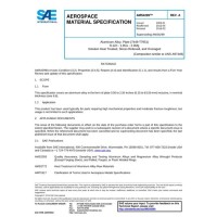 SAE AMS4299A