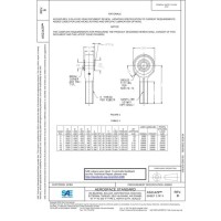 SAE AS21429B