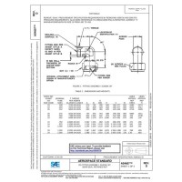 SAE AS4807D