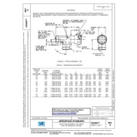 SAE AS4809D