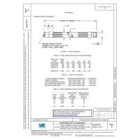 SAE AS4704D