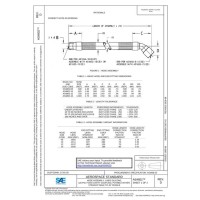 SAE AS4802D