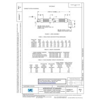 SAE AS4803D