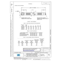 SAE AS4796D