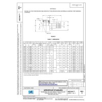 SAE AS21441C