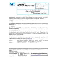 SAE AMS4064G