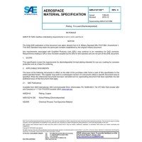 SAE AMSP81728C